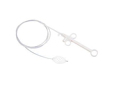 E competense chirurgiche do scistema de Vertebroplastiche megioan i standard ...