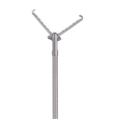 Fòrsa do còrpo endòscopico