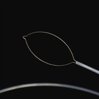 Fòrse do còrpo à l'estranxeo netto